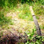 Best Machetes and guide featured image