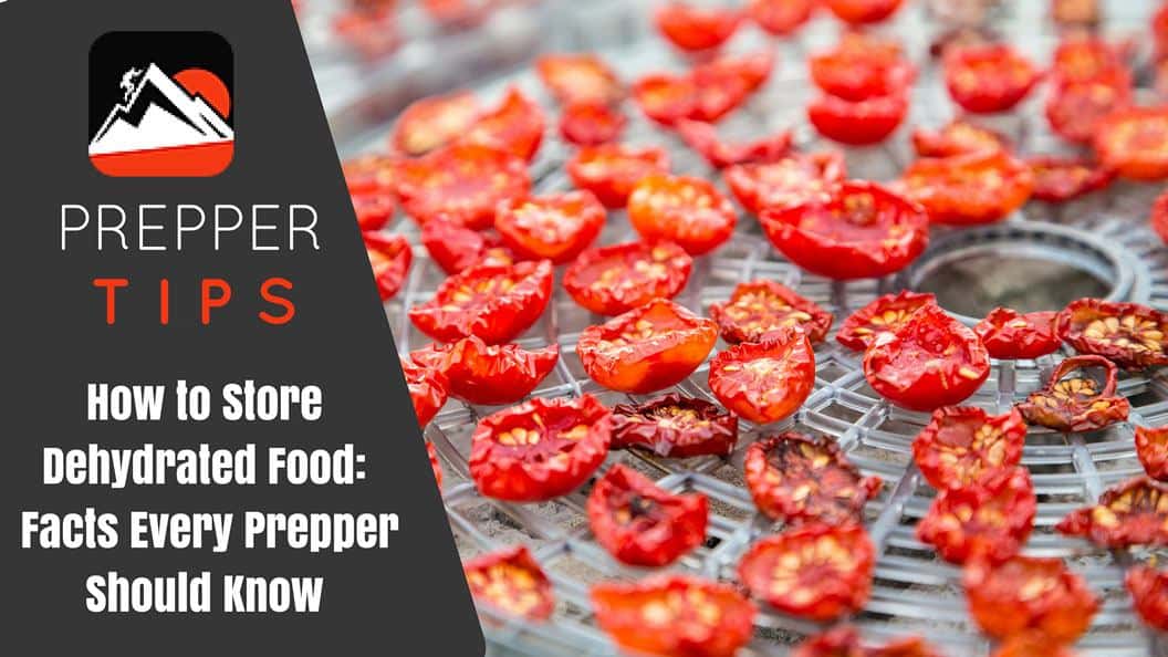 How to Store Dehydrated Food: A Preppers Guide