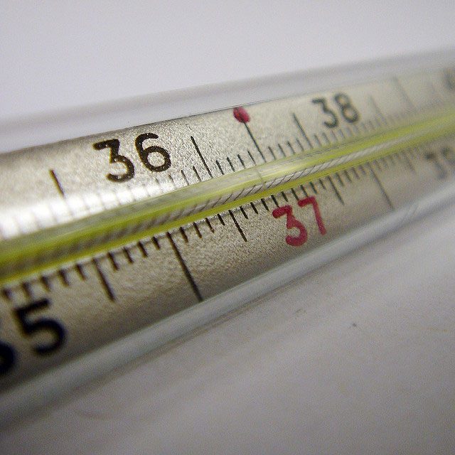 Temperature-in-aquaponics