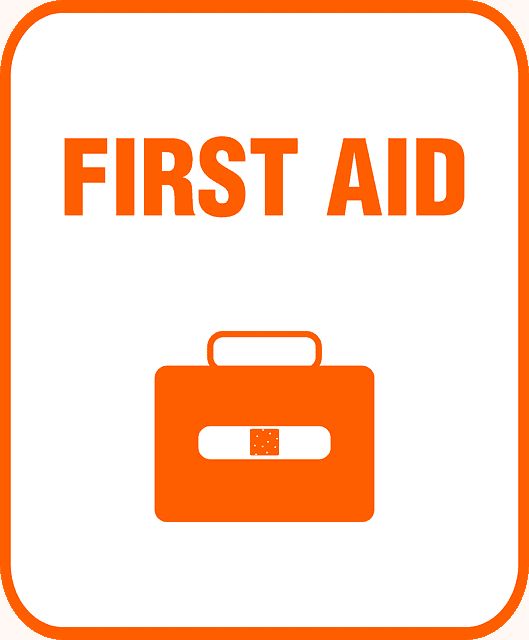 First Aid Skills