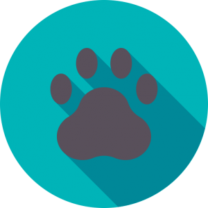 25. Bugging out with your pets 25. Bugging out with your pets