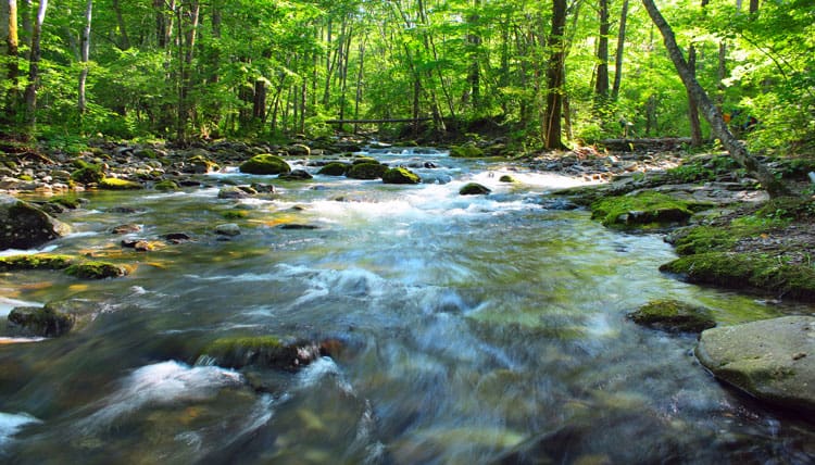 Best Water Purification Tablets