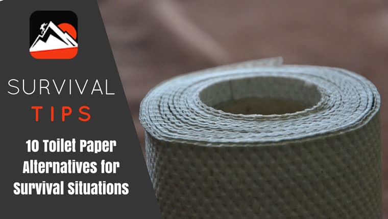 Survival Toilet Paper Alternatives