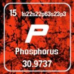 8.-phosphorus