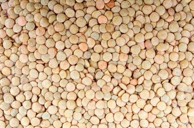 lentils