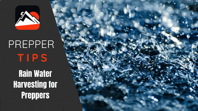 Rain Water Harvesting for Preppers