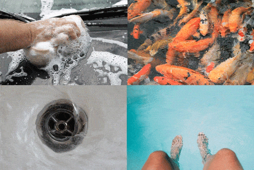 rainwater has a lot of uses