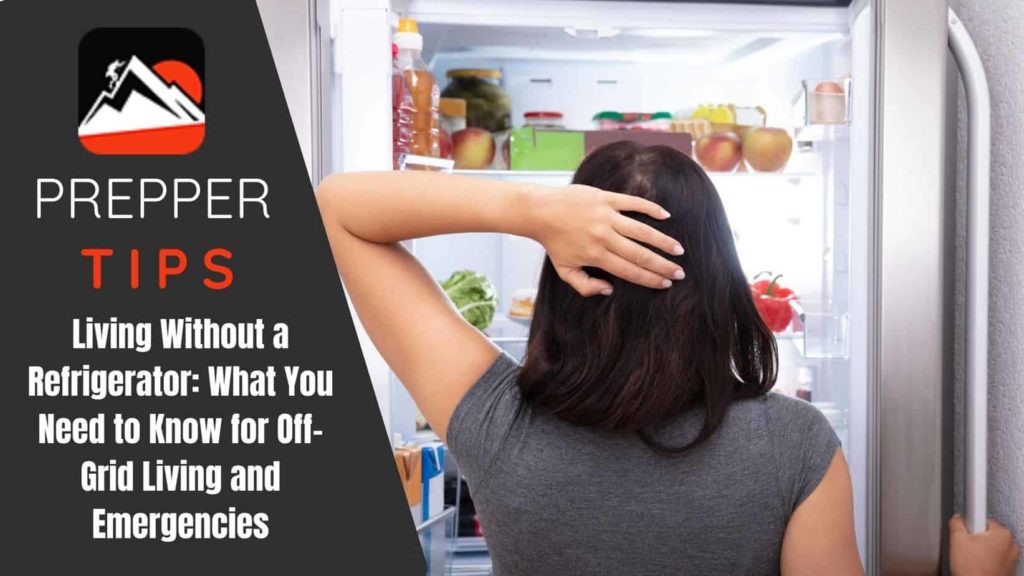 Living without a Refrigerator Featured Image