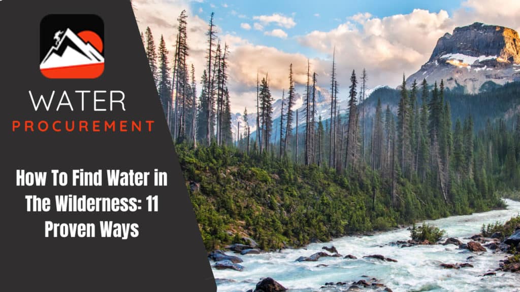 A river in the forest