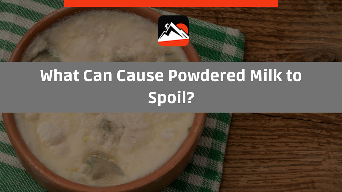 a bowl full of spoiled milk