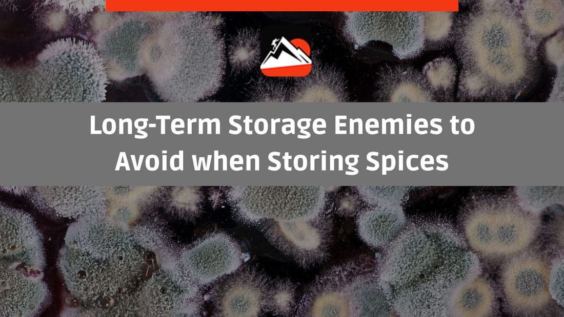 mold growing in flat surface